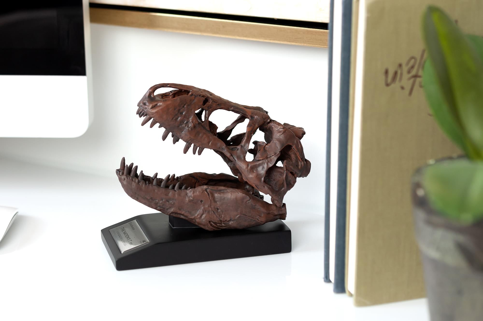 Desktop Ornament,1/10 Scale Model of Tyrannosaurus Rex Skull Resin Sculpture Lifelike Dinosaur Shape Statue