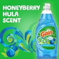 thumbnail image 6 of Gain Ultra Liquid Dish Soap, Honey Berry Hula, 38 fl oz, 6 of 8