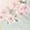 7pairs, variant on Floral Lace Women's Spring Summer Cotton Ankle Socks, 7-21 Pairs