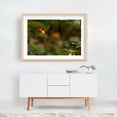 thumbnail image 6 of Berry Nice - Photography Botanical Nature Fruit Garden Forest Woodland Autumn Unframed Wall Art Print 4 x 6 inches, 6 of 7