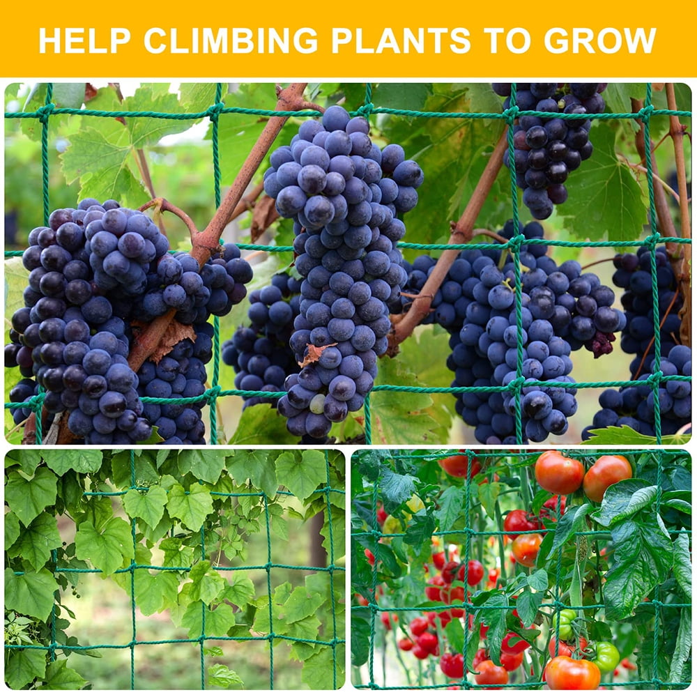 Climbing Plant Trellis - Heavy Duty Garden Trellis for Cucumbers, Vines, Fruits and Vegetables, Tomato Plant Trellis, Climbing Vines/5.9x8.9 FT （5PCS）