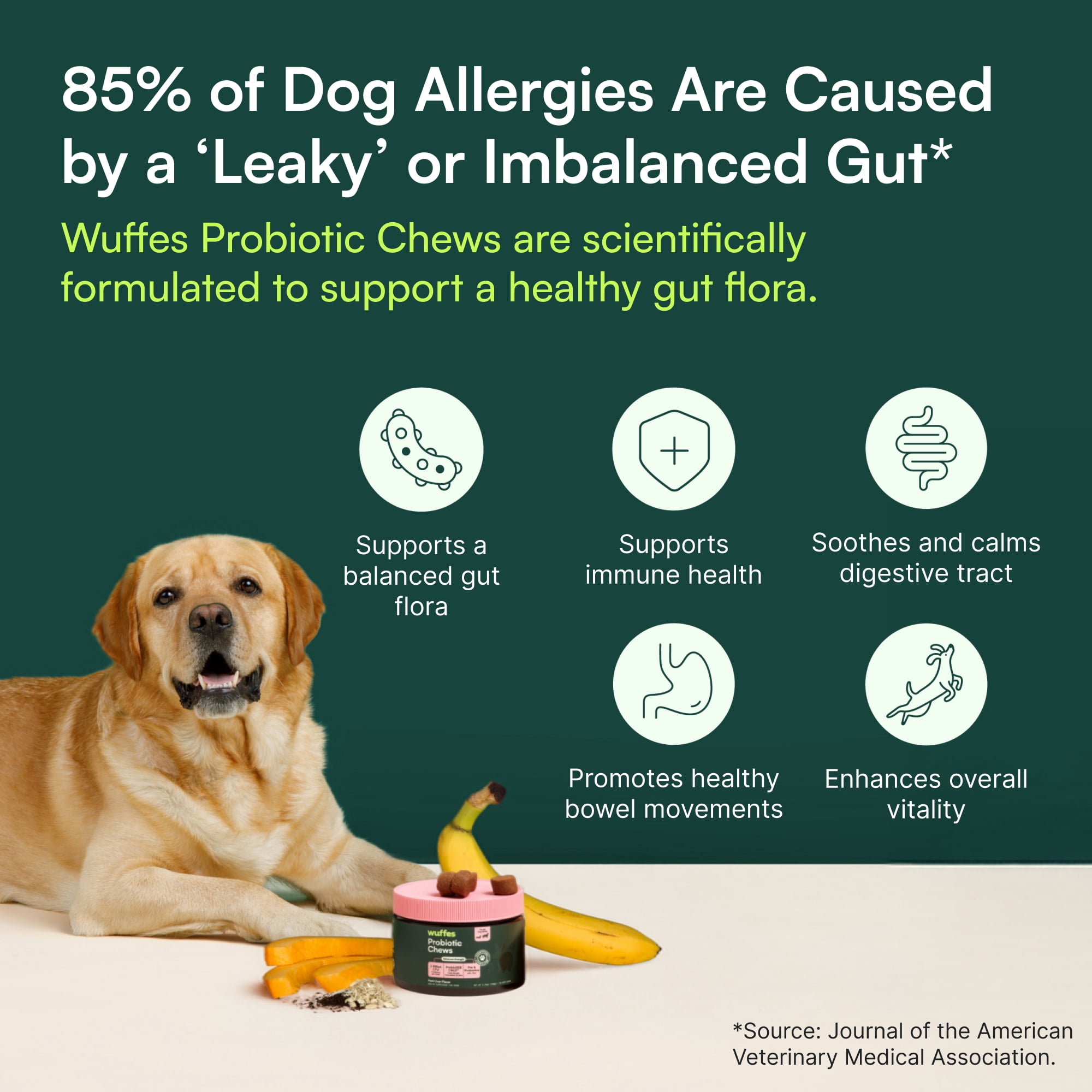 Wuffes Daily Probiotic for Dogs - Supports Digestive Health, Gut Balance, and Immune System - with Prebiotics, Marshmallow Root, and Pumpkin Powder - 60 Soft Chews
