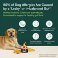 thumbnail image 5 of Wuffes Daily Probiotic for Dogs - Supports Digestive Health, Gut Balance, and Immune System - with Prebiotics, Marshmallow Root, and Pumpkin Powder - 60 Soft Chews, 5 of 7