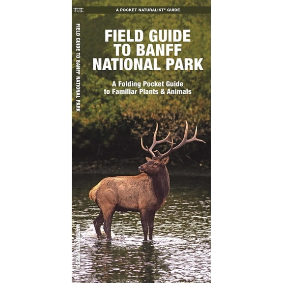 Nature Observation North America Banff National Park, Field Guide to, (Paperback)