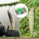 thumbnail image 4 of Juego de moscas atadas, aparejos de trucha, Streamer, moscas con giratoria/lanzador, señuelo , cebo Artificial, de moscas F Baoblaze Surtido de moscas de pesca, 4 of 8
