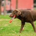 thumbnail image 5 of Scooby-Doo Ruh-Roh Frisbee Toy, 5 of 6