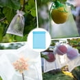thumbnail image 2 of Bolsas de Protección de Frutas Uxcell 100 Pack - Bolsas de Malla para Frutas de 6x8 Pulgadas con Cierre de Cordón Aplicables a Plantas (Azul Lago), 2 of 7