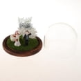 thumbnail image 4 of Rosa preservada hecha a mano en cúpula de cristal de lujo amantes pareja ornamento-B romántico B Romántica b Zulema Ornamento micro del paisaje, 4 of 8