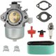 thumbnail image 1 of 699831 Carburetor With Filter Kit For Briggs Stratton 283702, 1 of 4