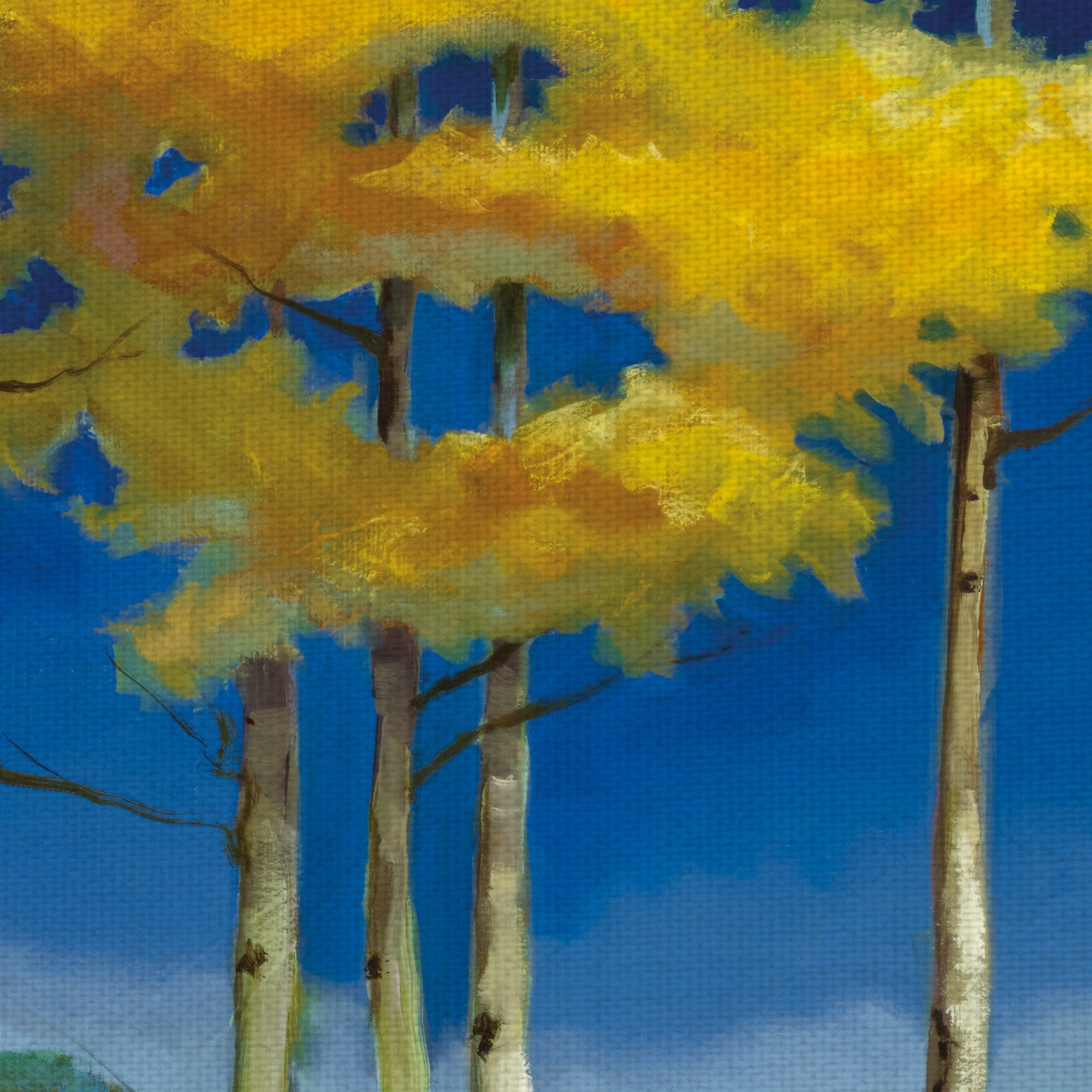 Masterpiece Art Gallery Yellow Aspen Forest By Sue Darius Canvas Art Print 24" x 36"