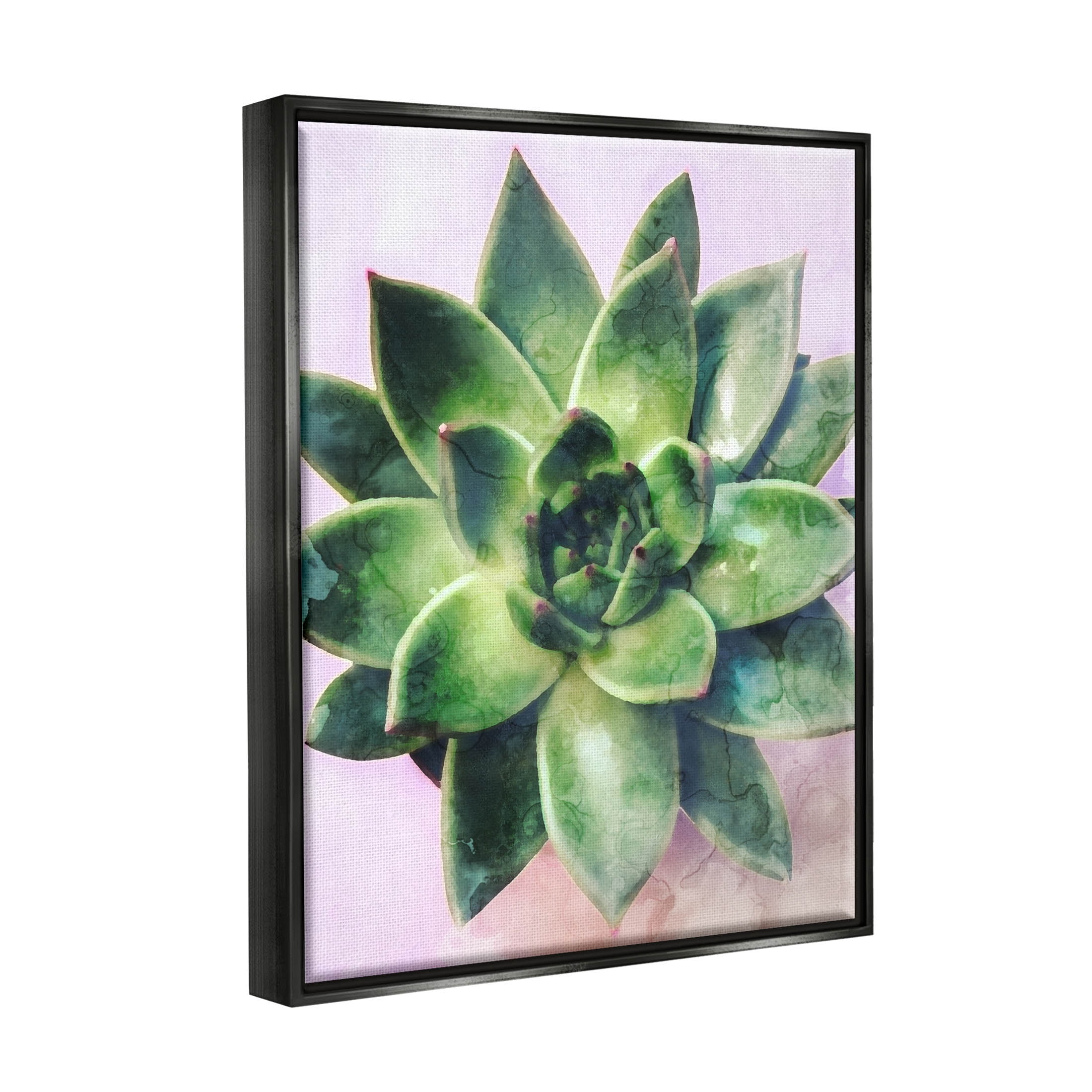 Round Succulent Plant Leaves Botanical & Floral Graphic Art Jet Black Framed Art Print Wall Art