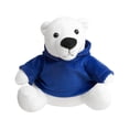 thumbnail image 2 of Paquete 65 piezas Peluche con sudadera  azul 11.5 x 13.7, 2 of 3