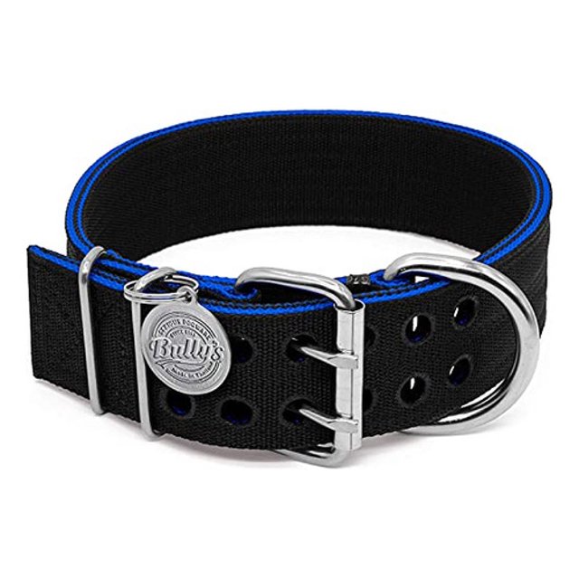 Collar De Pitbull, Collar De Perro Para Perros Grandes, De N esquí esquí Gafas de esquí