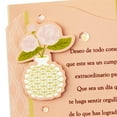 thumbnail image 5 of Hallmark VIDA Spanish-Language Birthday Card (May This Be a Uniquely Fabulous Day), 5 of 7