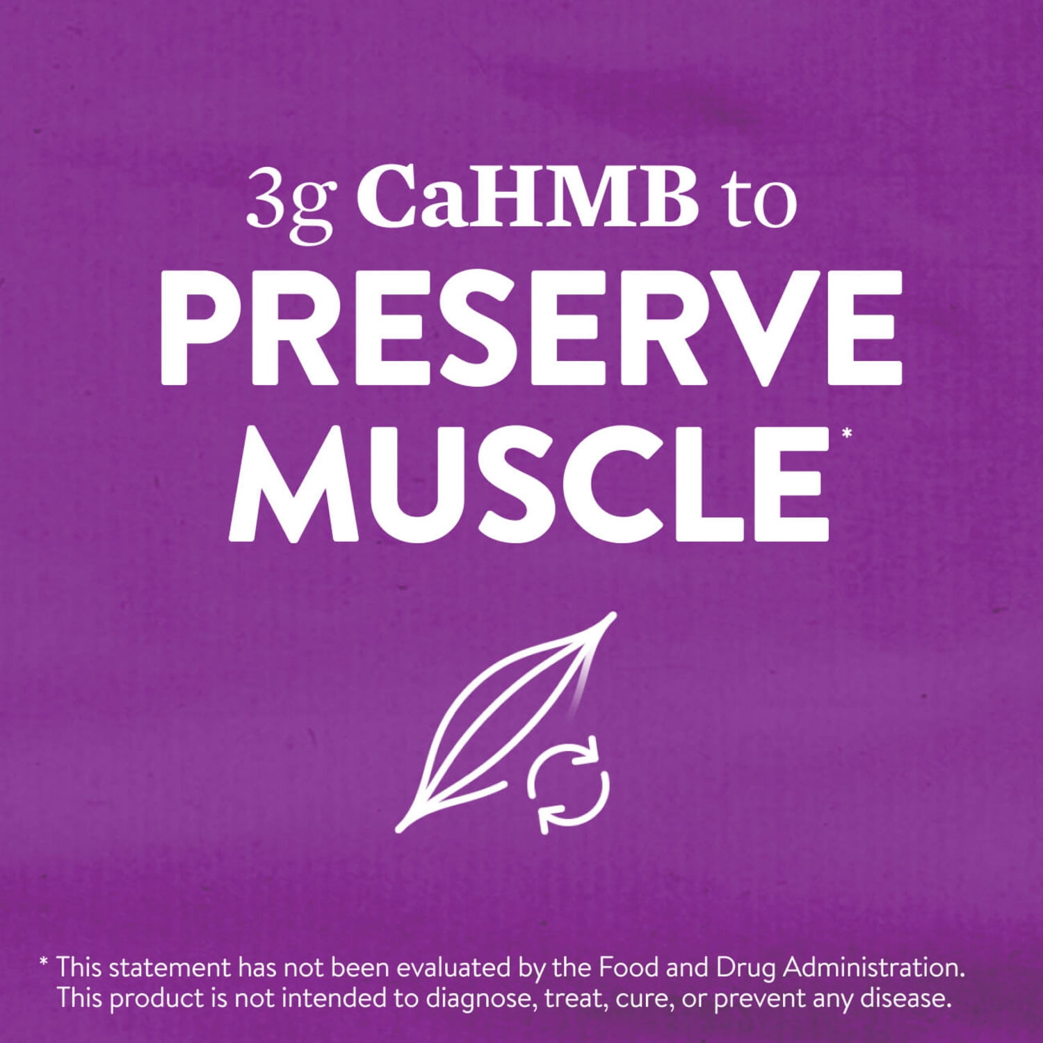 Ensure Max 3-in-1 Powder, Muscle Support, 30g Protein, Creatine, HMB, Chocolate, 2 Pack