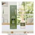 thumbnail image 4 of Difusor Mainstays Esencia de Bosque 80 Ml, 4 of 4