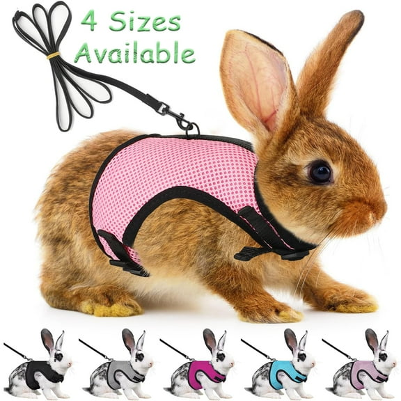 Bunny Rabbit Harness Leash Set, Adjustable Buckle Breathable Mesh Vest Escape Proof for Small Pets Walking Outdoor