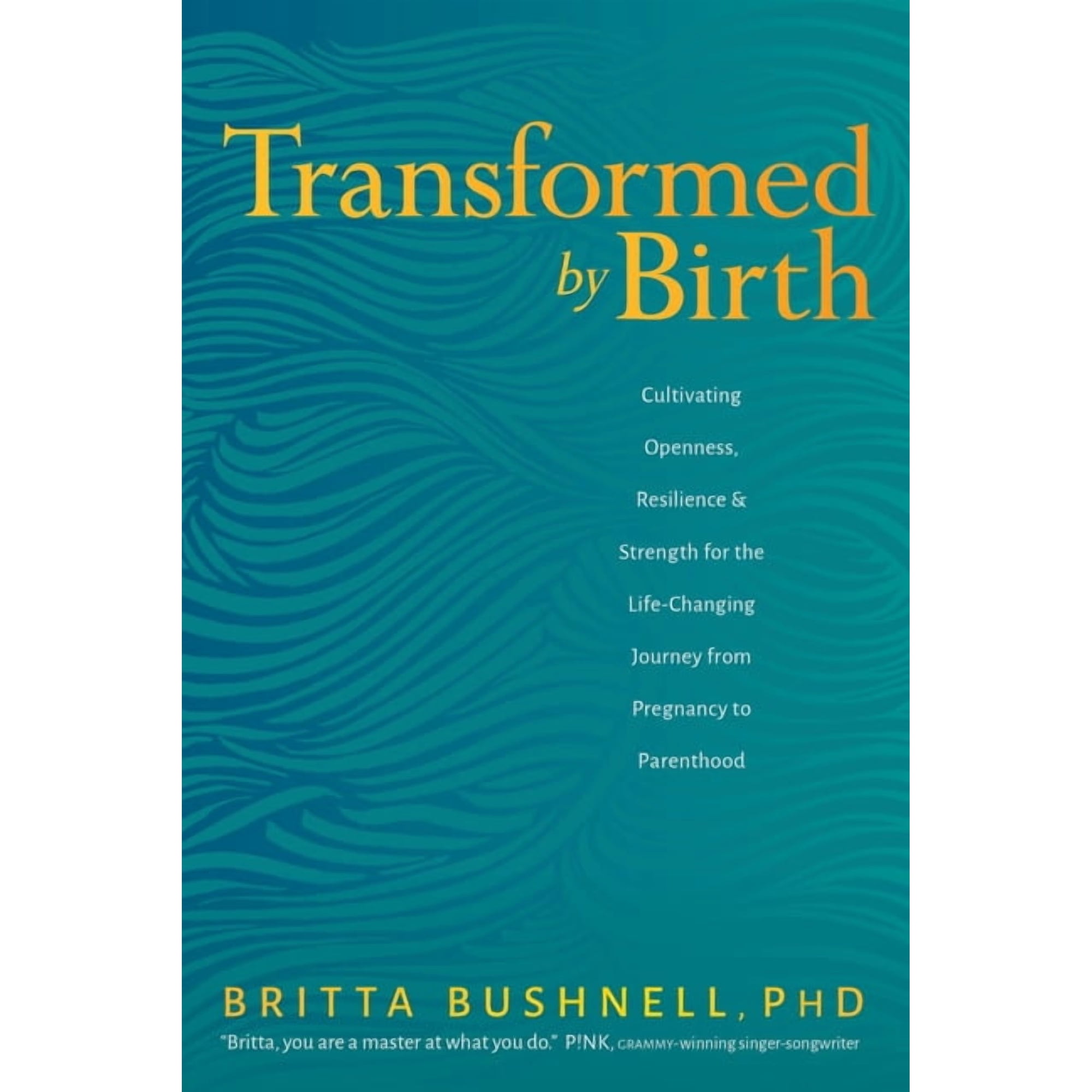 Transformed by Birth: Cultivating Openness, Resilience, and Strength for the Life-Changing Journey from Pregnancy to Par, (Paperback)