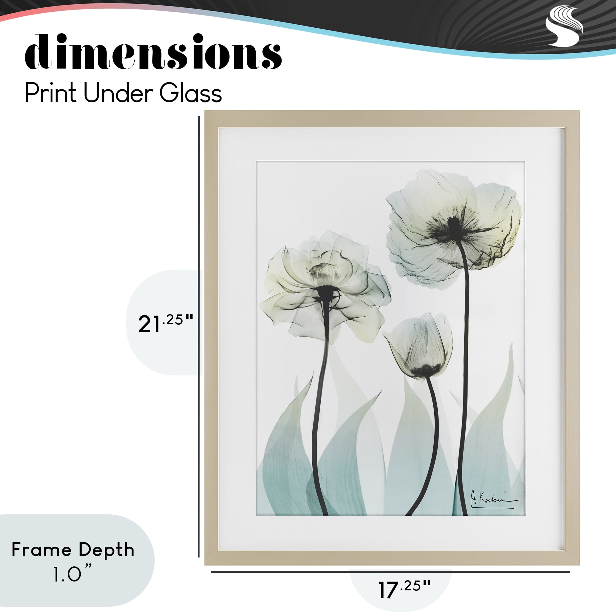 Stupell Industries Luxury Of Creation Birch Framed Print Under Glass, design by Albert Koetsier