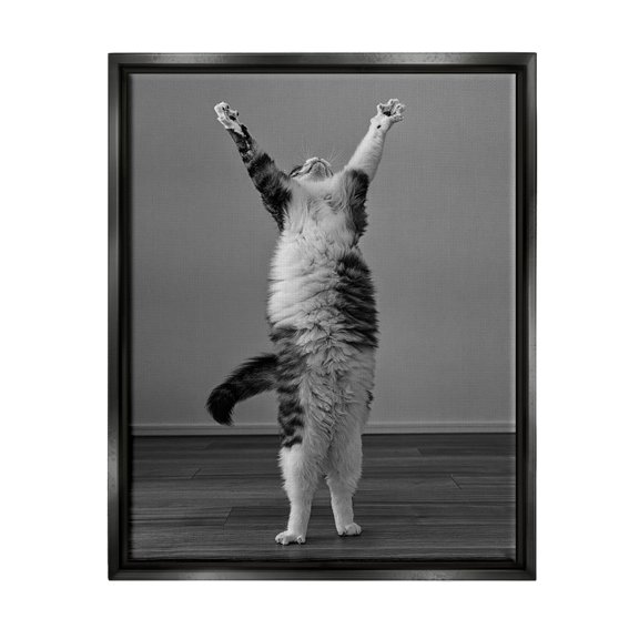 Stupell Industries Funny Cat Victory Pose Animals & Insects Photography Black Floater Framed Canvas Art Print Wall Art, 17 x 21