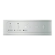 Sony SRS-XB100 Wireless Bluetooth Portable Speaker (Gray) with Case Bundle