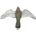 thumbnail image 4 of Faucon Épouvantail - Effrayer les Oiseaux, 4 of 5