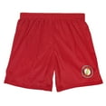 thumbnail image 3 of Justice League The Flash Athletic Logo Mens Lined Mesh Shorts, Red, 2X-Large, 3 of 6