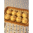 thumbnail image 5 of Assorted Food-Shaped ASMR Stress Balls - Potato, Tangerine, Mango & More - Soft Moldable Non-Bounce Squeeze Ball for Anxiety Relief, Adult Sensory Gadget, 5 of 6