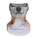 thumbnail image 4 of Bandana Bufanda Shamjiam para la Cara con Patrón de Cachorro Resistente al Viento 39 cm, 4 of 8