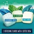 thumbnail image 3 of Extra Refreshers Mint Mix Gum, 3.21-Ounce 40-Piece Bottle (Pack Of 6), 3 of 3