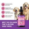 thumbnail image 3 of Premium Liquid Collagen For Dogs - 5x Collagen Types I, II, II, V & X - Support For Joints, Skin, Coat, Bone, Immune System & Hips - Collagen Supplement With Hyaluronic Acid - Made In USA - 2oz, 3 of 7