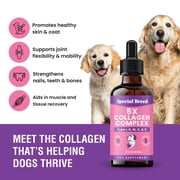 Premium Liquid Collagen For Dogs - 5x Collagen Types I, II, II, V & X - Support For Joints, Skin, Coat, Bone, Immune System & Hips - Collagen Supplement With Hyaluronic Acid - Made In USA - 2oz