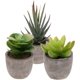 thumbnail image 2 of 3pcs Faux Succulent Bonsai Cactus Plant Pot Flower Pot Container Plant Bonsai Artificial Simulation Plants with Pots, 2 of 4