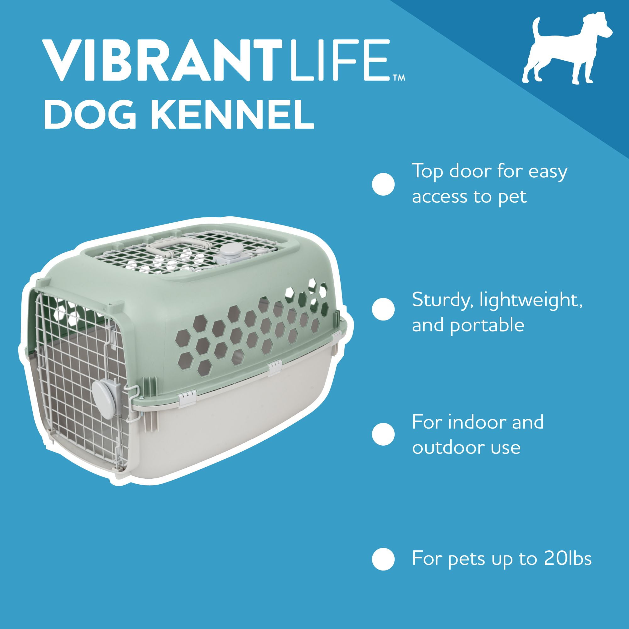 Vibrant Life 2-Door 24" Plastic Portable Kennel for Dogs, Green