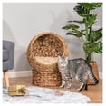 thumbnail image 2 of Elevated Cat Bed, Banana Leaf Basket with Cushion - Natural Water Hyacinth Cat Lounger, Brown - Indoor/Outdoor Cat Furniture for Small Pets, 2 of 9