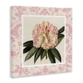 thumbnail image 2 of Stupell Industries Cottage Pink Pattern Botanical Canvas Art, 17 x 17, by Livi Finn, 2 of 8