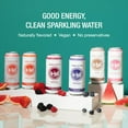 thumbnail image 3 of Hiball Clean Energy Drink, Zero Sugar Caffeinated Seltzer Water, Wild Berry, 16 Fl Oz, 12 Pack, 3 of 12