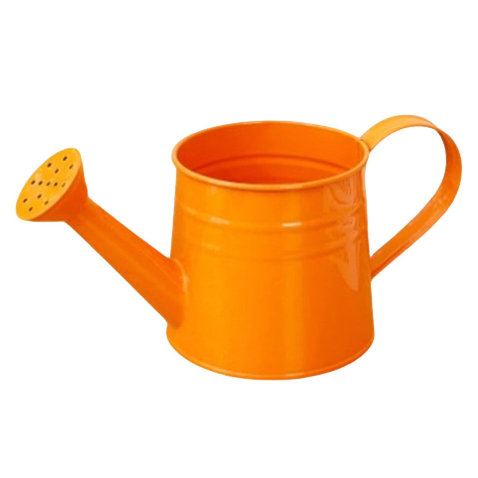 Metal Watering Can for Garden and Indoor Plants, Sprinkling Can for Outdoor Flowers Lawn, Gardening Tool Accessories for Watering, Rust Resistant