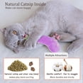 thumbnail image 6 of Catnip Cat Toys, 5 Pack, Plush Cat Nip Toys for Indoor Kitten Kitty, Interactive Cat Kicker Chew Safe Teeth Cleaning Toys, Fun Vegetable Shape., 6 of 7
