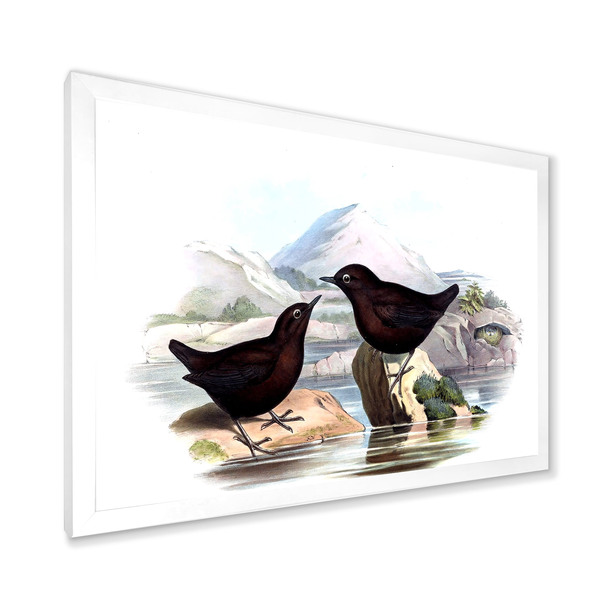 Designart 'Vintage Countryside Two Birds' Farmhouse Framed Art Print