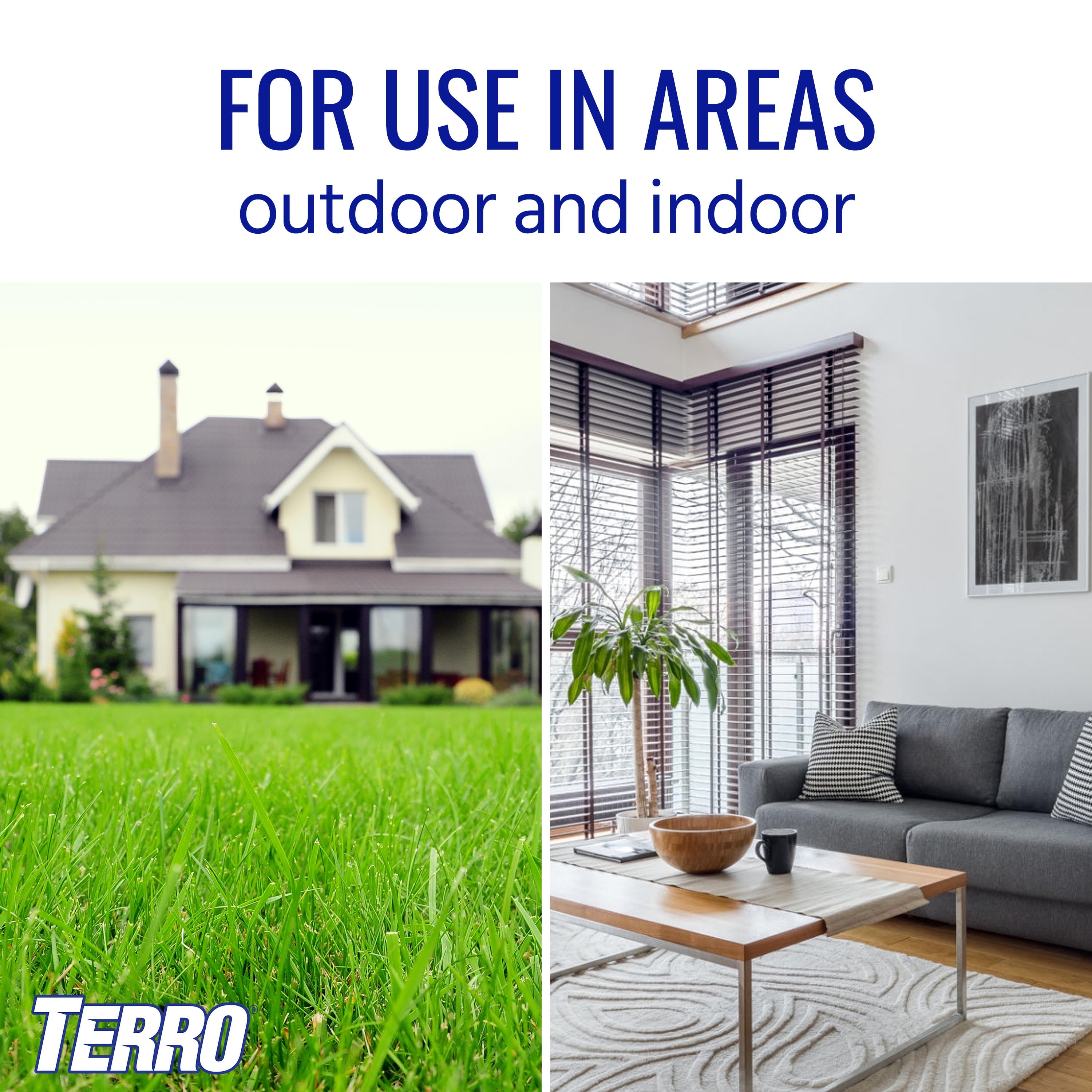 TERRO Ant Killer Aerosol Spray 16 oz - 2 Pack