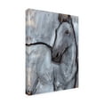 thumbnail image 2 of Jennifer Paxton Parker 'White Horse Contour II' Canvas Art, 2 of 3