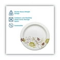 thumbnail image 2 of Pathways Soak Proof Shield Heavyweight Paper Plates, 8.5" Dia, Green/burgundy, 125/pack | Bundle of 10 Packs, 2 of 6