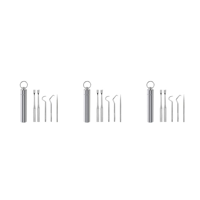 Bearachild Palillo de Limpieza de de viaje Selección Barbacoa Fruta Tenedor Reutilizable Lavable Multifuncional Flosser Type1 NO1