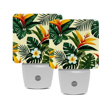 

LED Night Lights Plug into Wall 2-Pack 0.5W Plug in Night Light Dusk to Dawn White Bright Nightlight for Bedroom Bathroom Hallway Kitchen Modern Tropical Plant Bird of Paradise Vintage Flower
