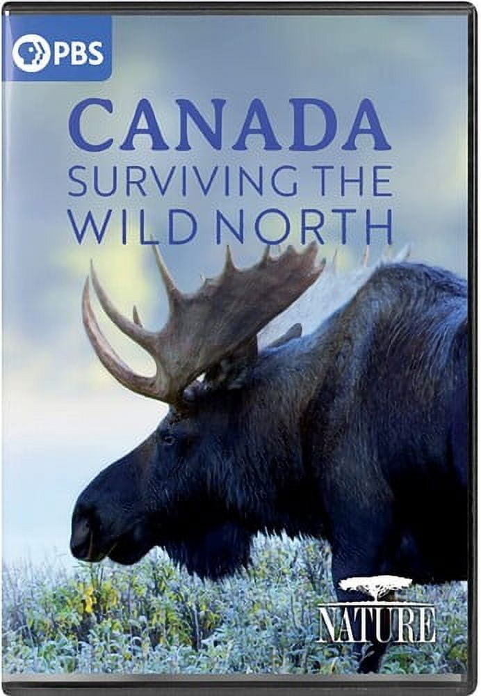 India: Nature's Wonderland DVD ~ DVD 841887029698| eBay