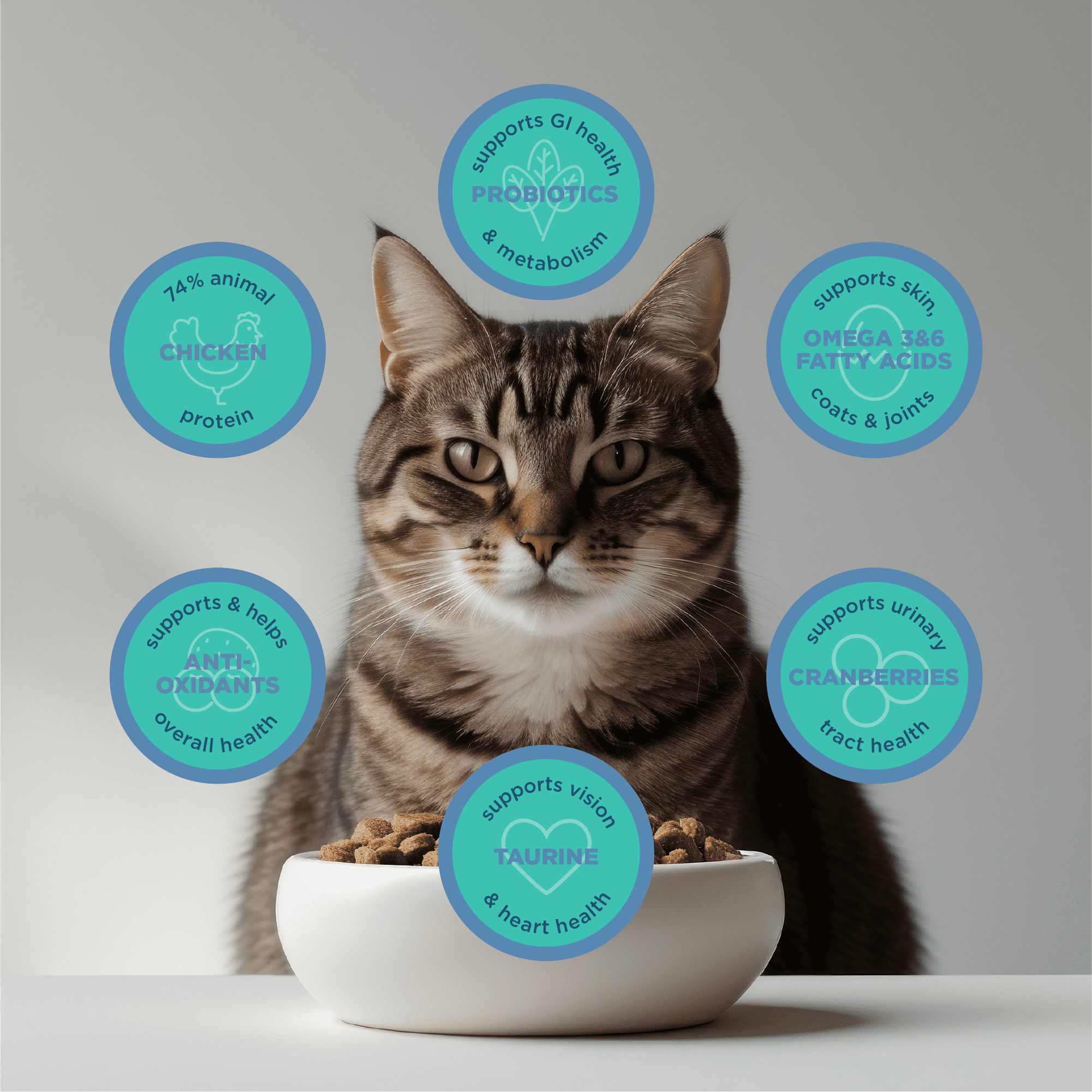 Blackwood Grain Free Cat Food Duck Meal, Salmon Meal & Field Pea 13.2 lb.