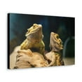 thumbnail image 2 of Majestic Bearded Dragon Couple Print Animal Wall Art Wildlife Canvas Prints Wall Art Ready to Hang Unframed, 2 of 18