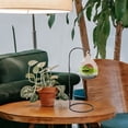 thumbnail image 3 of Smooth Globe Terrarium with Big Opening Clear Hanging Glass Terrarium Air Plant Planter, 3 of 4
