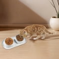 thumbnail image 4 of Slow Feeder Bowls Stainless Steel 15Â° Slanted Double Bowls Non Stand Easy to Wash for Cat Small Dogs Food Water, 4 of 4